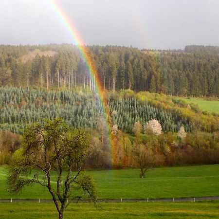 Eifel Rebeige Gerolstein Apartment Kopp Luaran gambar