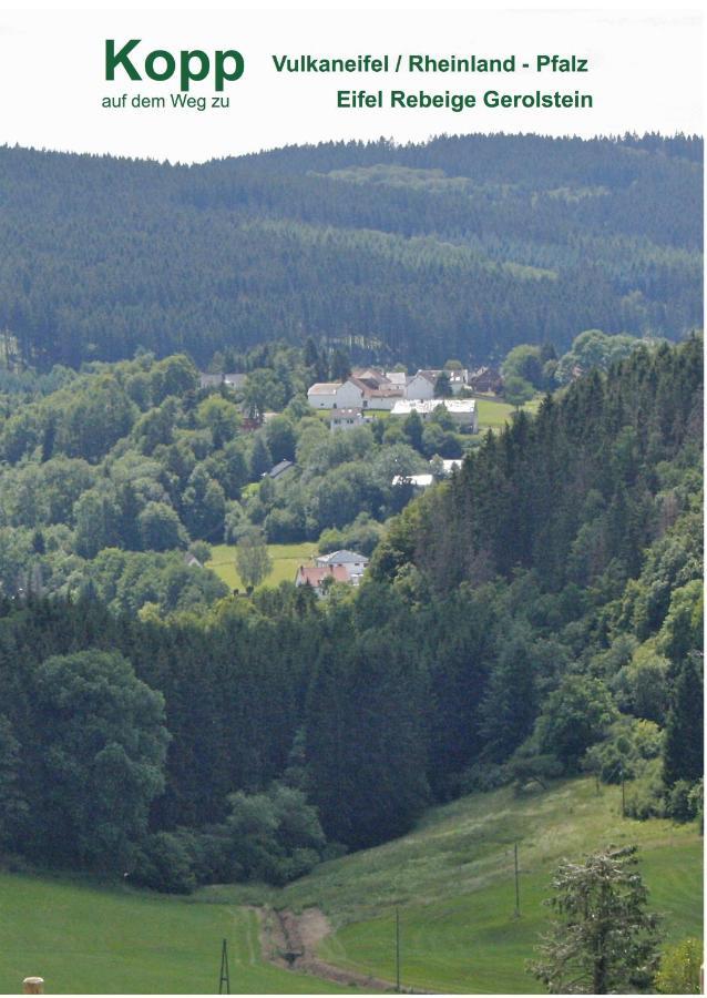 Eifel Rebeige Gerolstein Apartment Kopp Luaran gambar